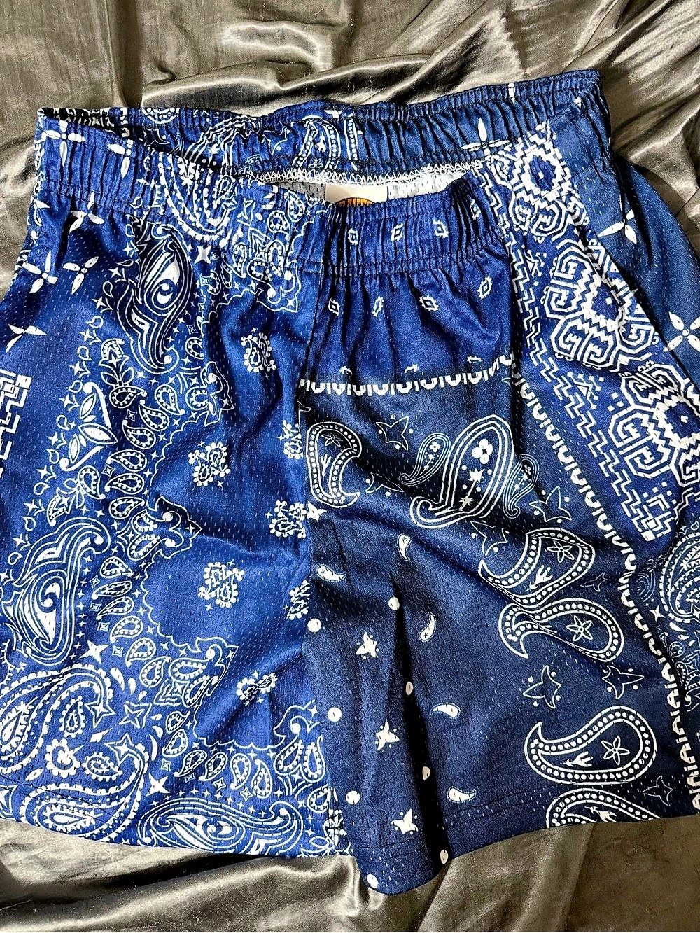 Bravest Studios Blue Aaron Paisley Mesh  Shorts Medium